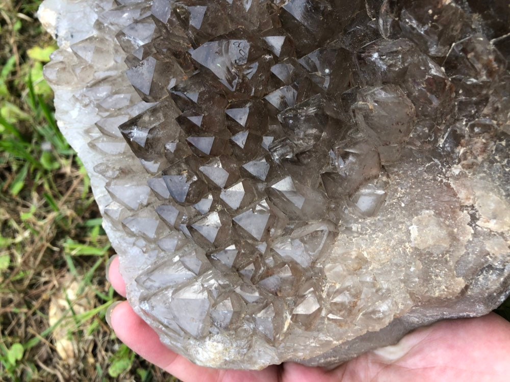 Huge 24lb Elestial Smoky Qyartz Crystal Cluster with Wooden Stand