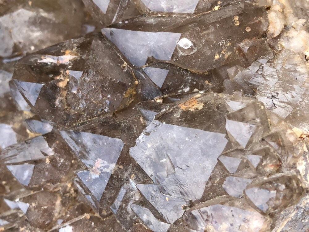 Huge 24lb Elestial Smoky Qyartz Crystal Cluster with Wooden Stand
