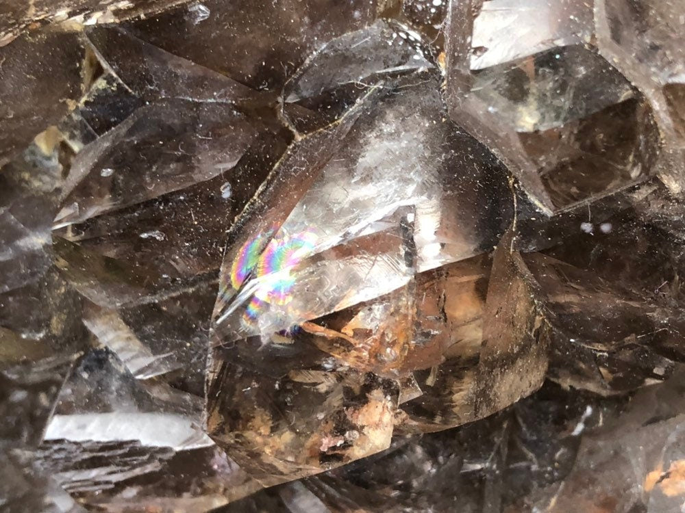 Huge 24lb Elestial Smoky Qyartz Crystal Cluster with Wooden Stand