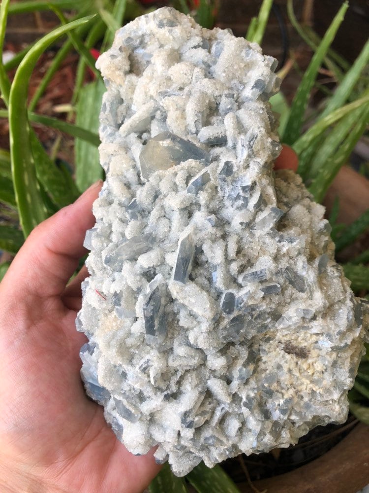 Huge 3.1lb Celestite Cluster from Monroe Michigan