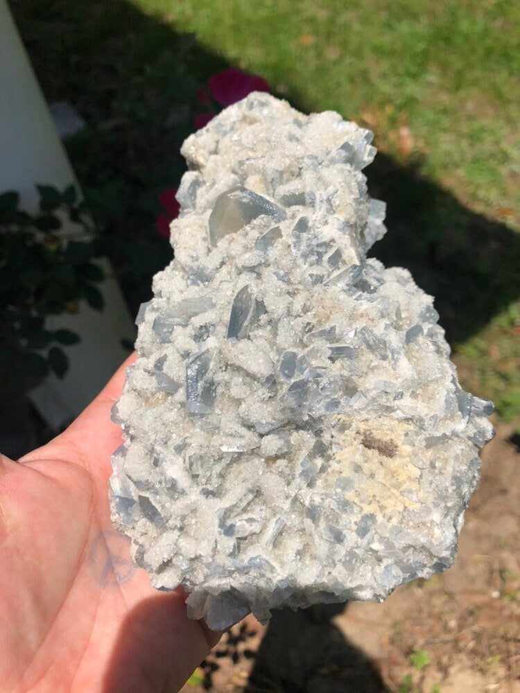 Huge 3.1lb Celestite Cluster from Monroe Michigan