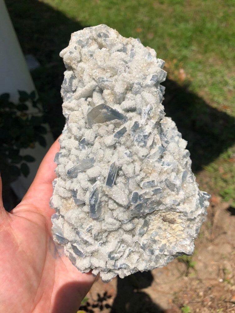 Huge 3.1lb Celestite Cluster from Monroe Michigan