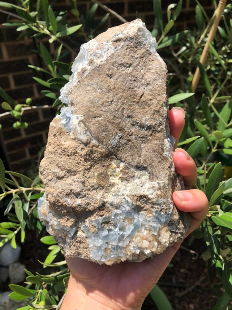 Huge 3.1lb Celestite Cluster from Monroe Michigan