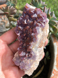 Thunder Bay Amethyst Crystal Cluster from Canada