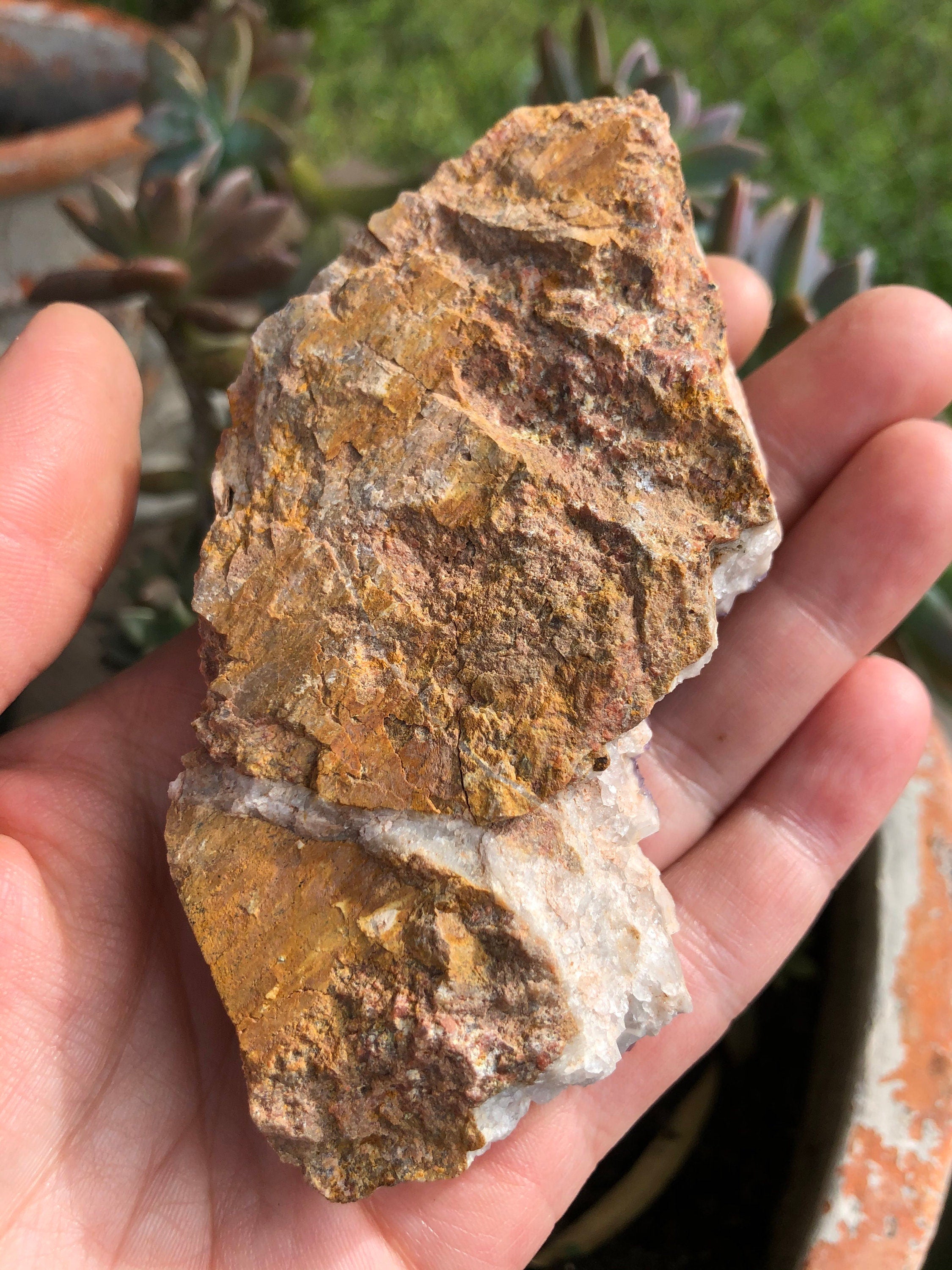 Thunder Bay Amethyst Crystal Cluster from Canada