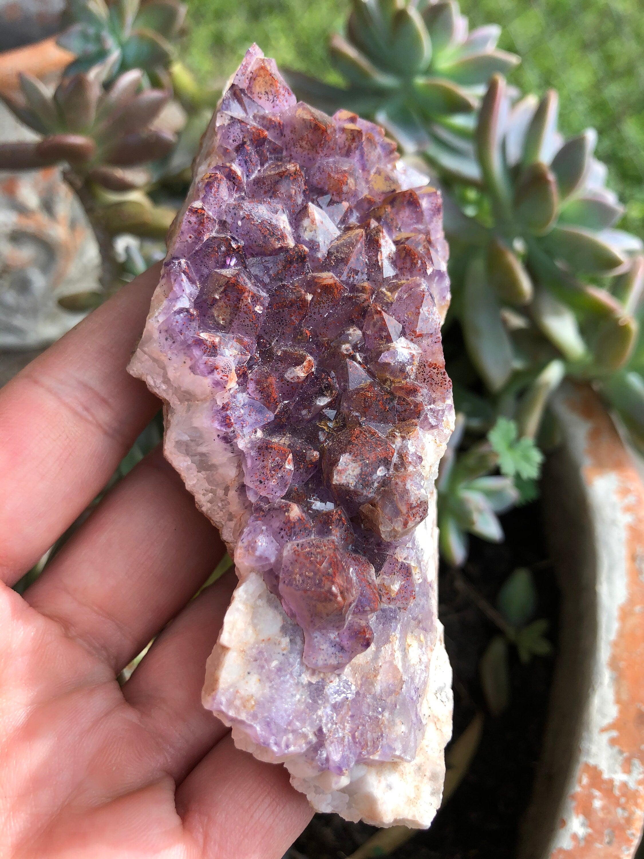 Thunder Bay Amethyst Crystal Cluster from Canada