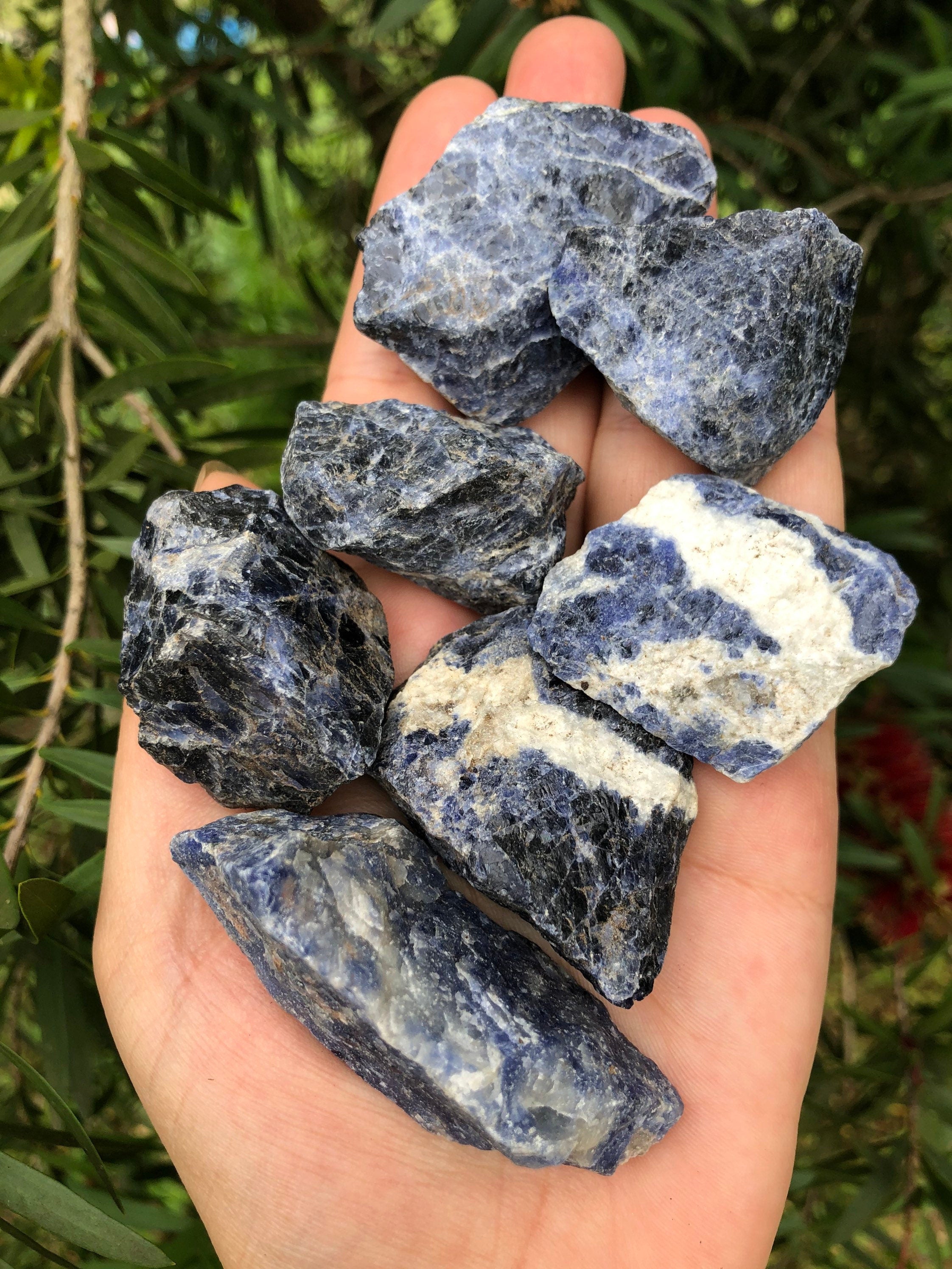 1lb Sodalite Natural Raw Crystal Stone