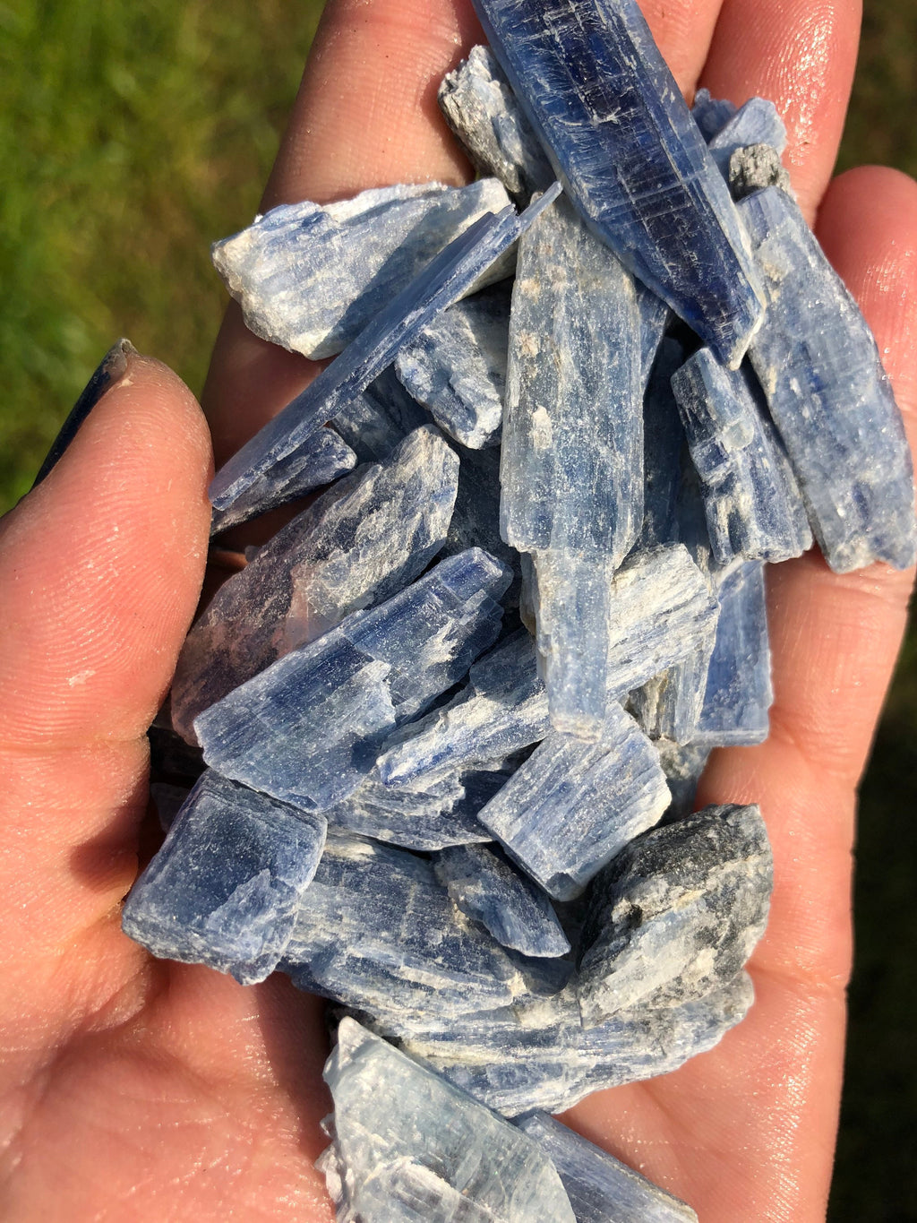 1lb Blue Kyanite Crystals