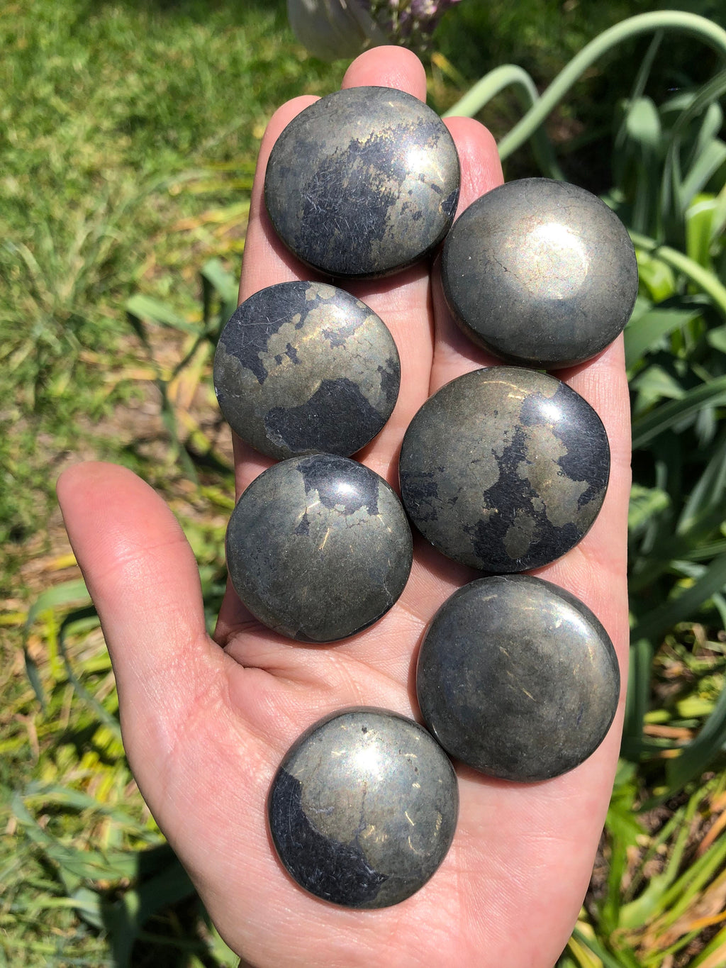 Pyrite Pocket Stone/Round Cabochon (1)