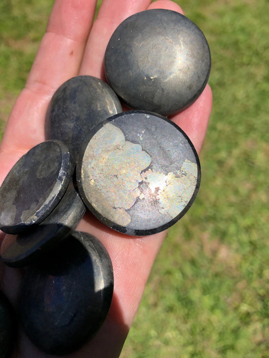 Pyrite Pocket Stone/Round Cabochon (1)
