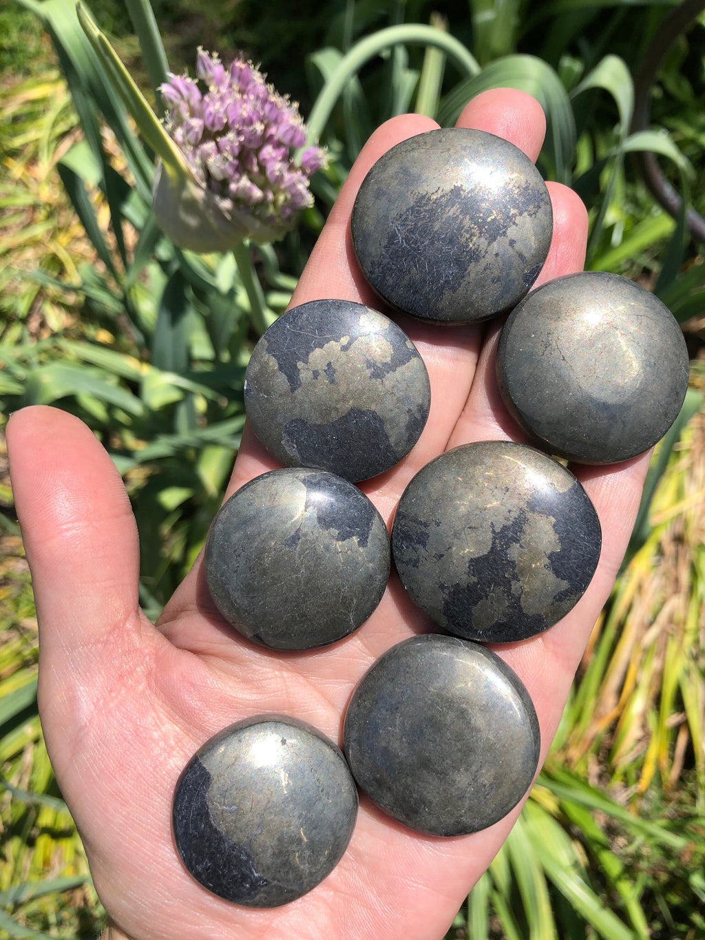 Pyrite Pocket Stone/Round Cabochon (1)