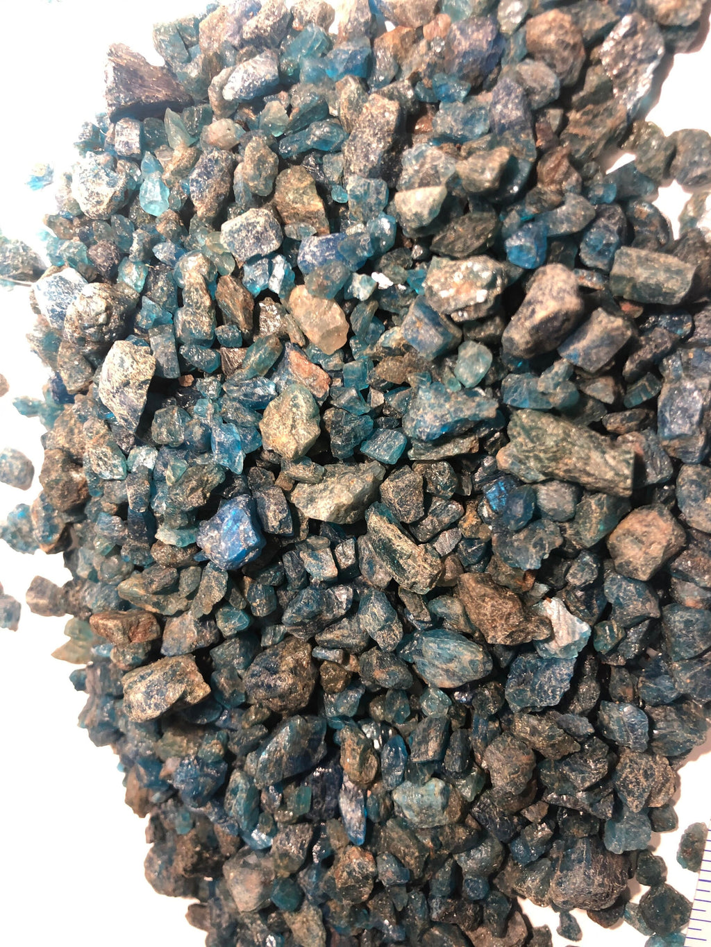 Bulk Blue Apatite Crystals