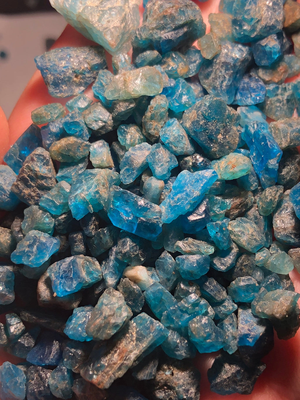 Bulk Blue Apatite Crystals