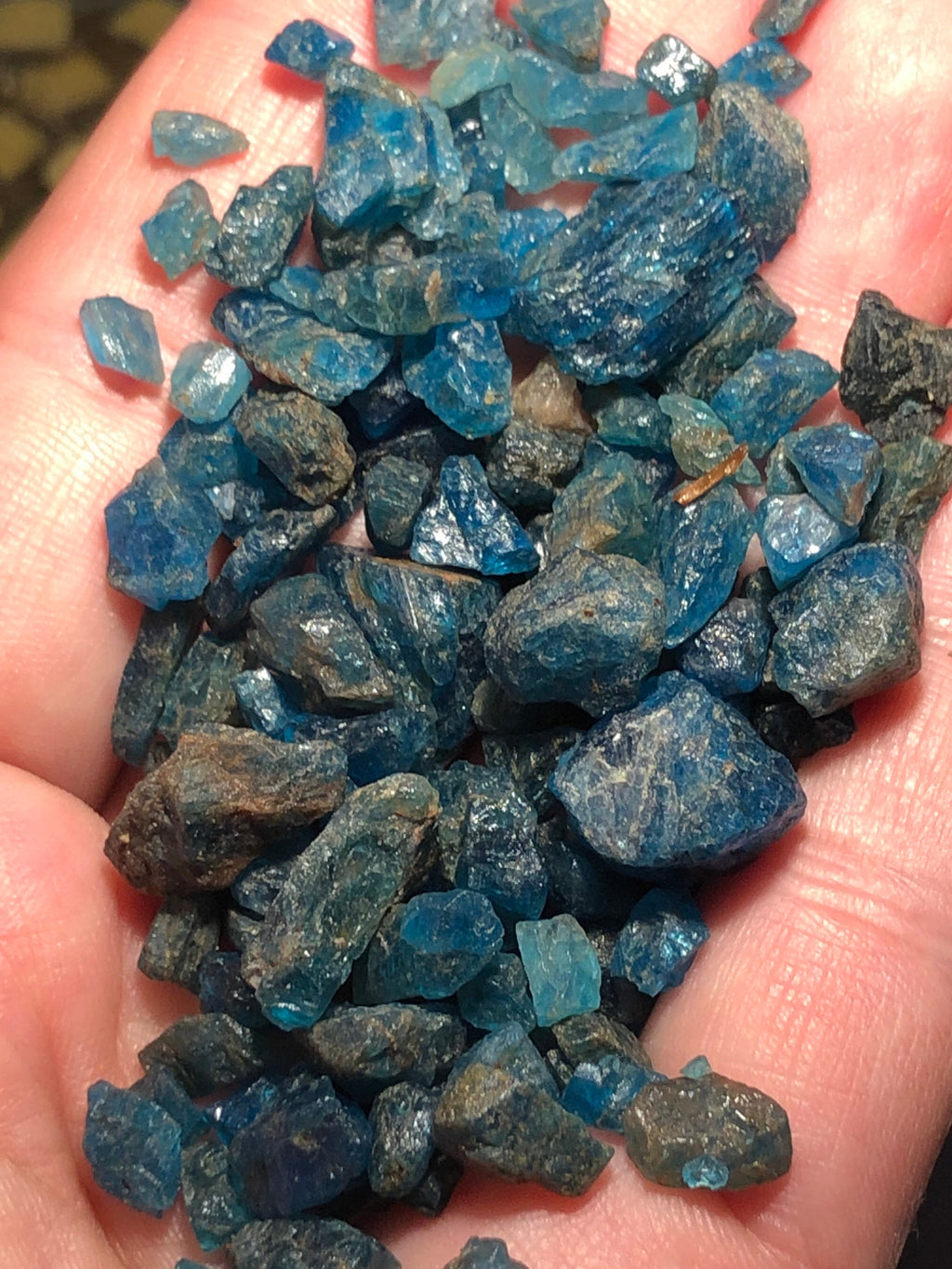 Bulk Blue Apatite Crystals