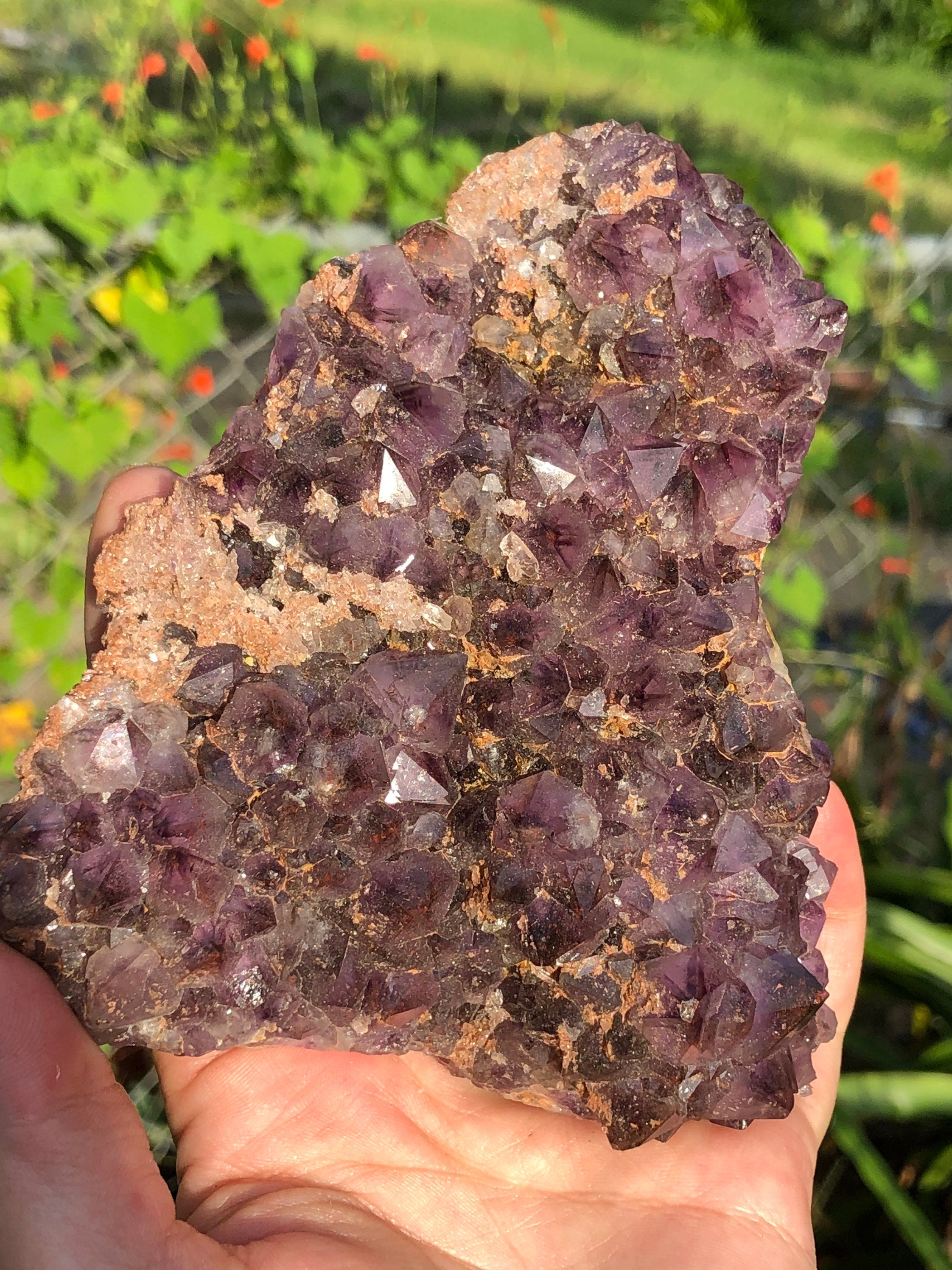 Thunderbay Amethyst Crystal Cluster