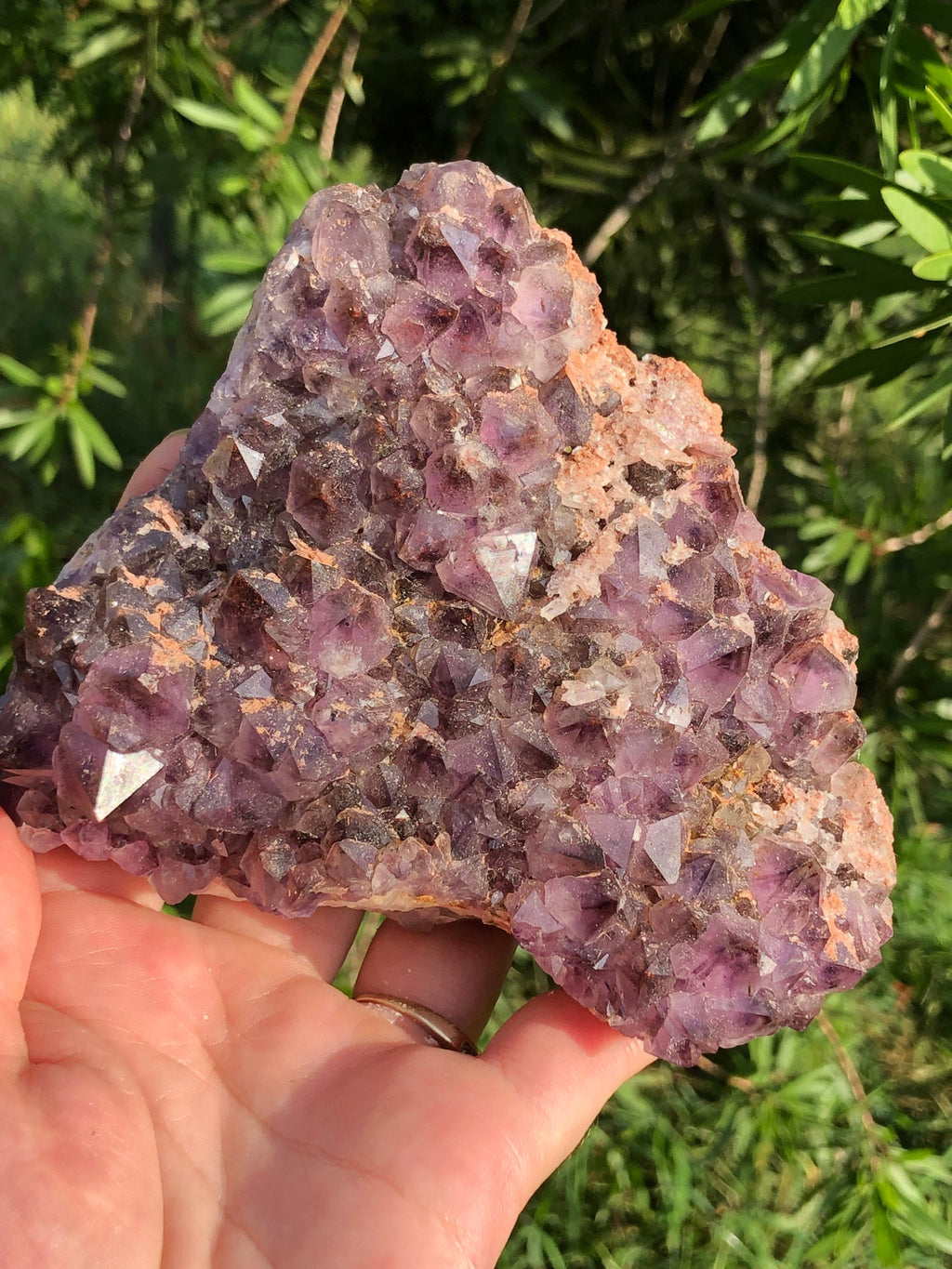 Thunderbay Amethyst Crystal Cluster
