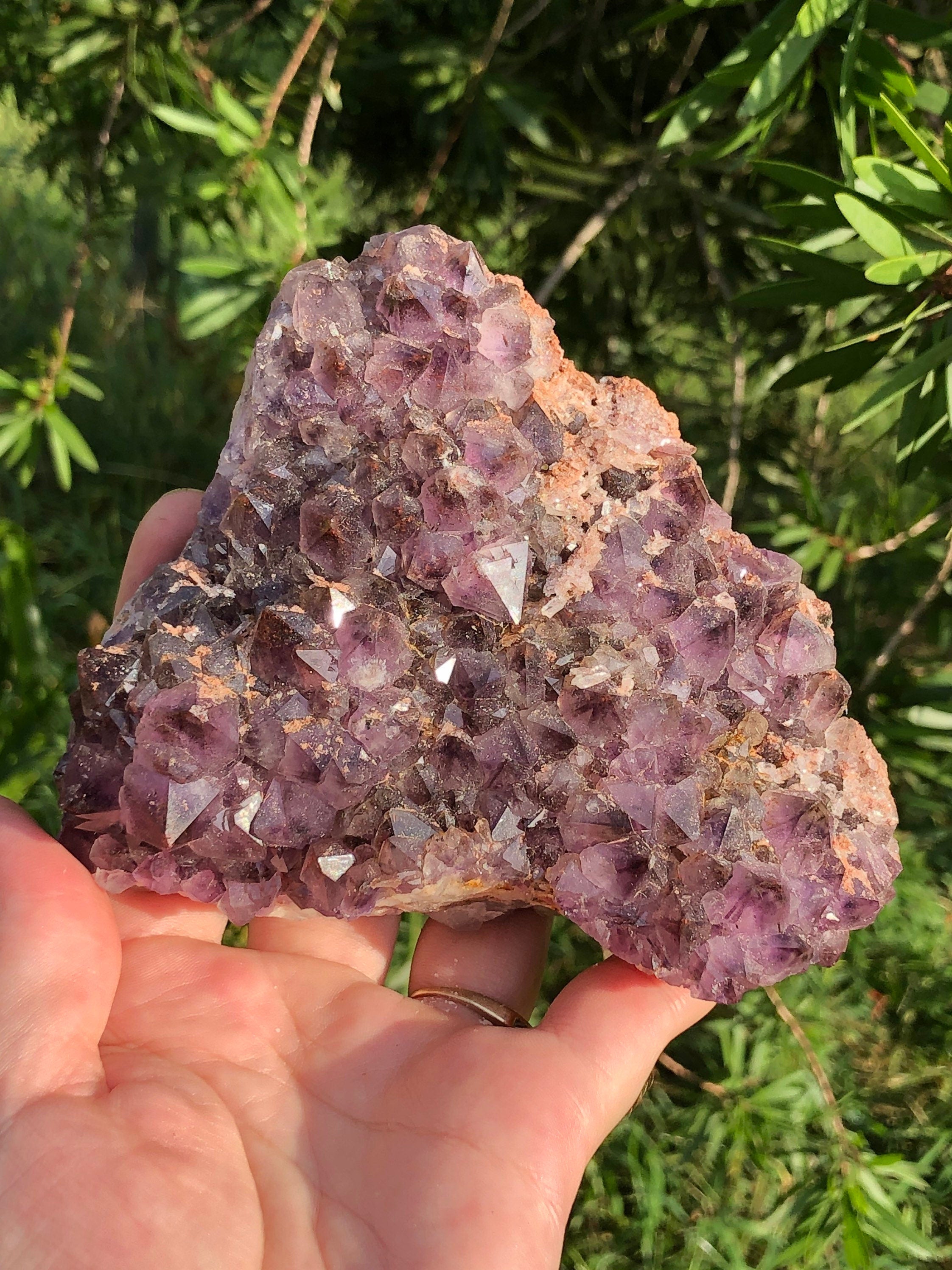 Thunderbay Amethyst Crystal Cluster