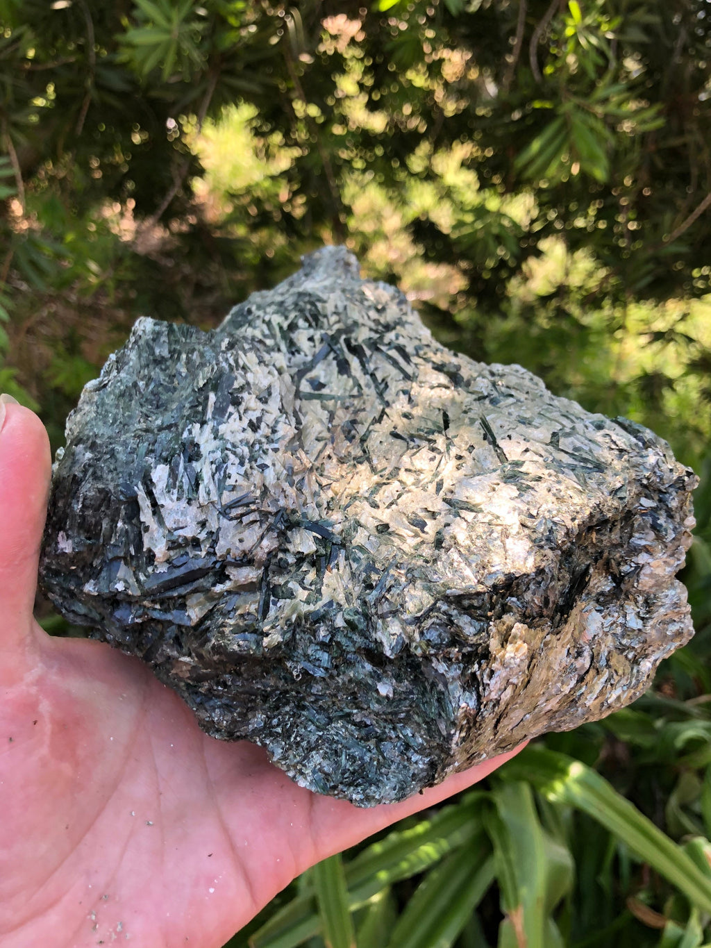 Huge 5.75lb Chrome Diopside Crystals loaded in Matrix