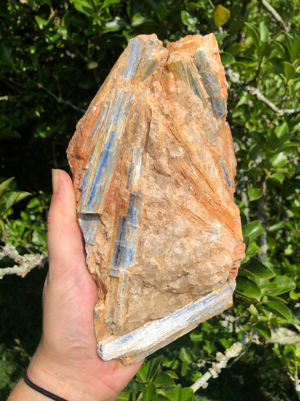 Huge Blue Kyanite crystals in Matrix