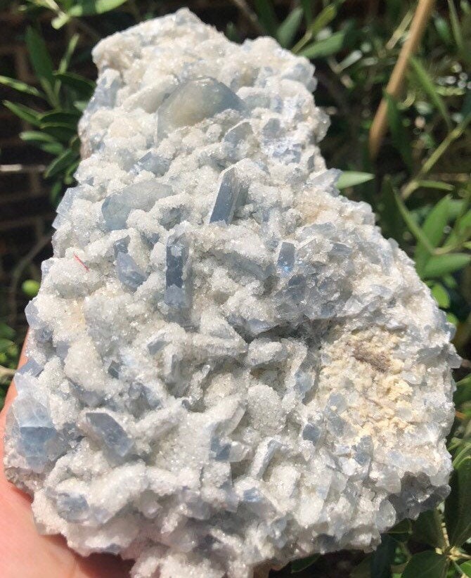 Huge 3.1lb Celestite Cluster from Monroe Michigan