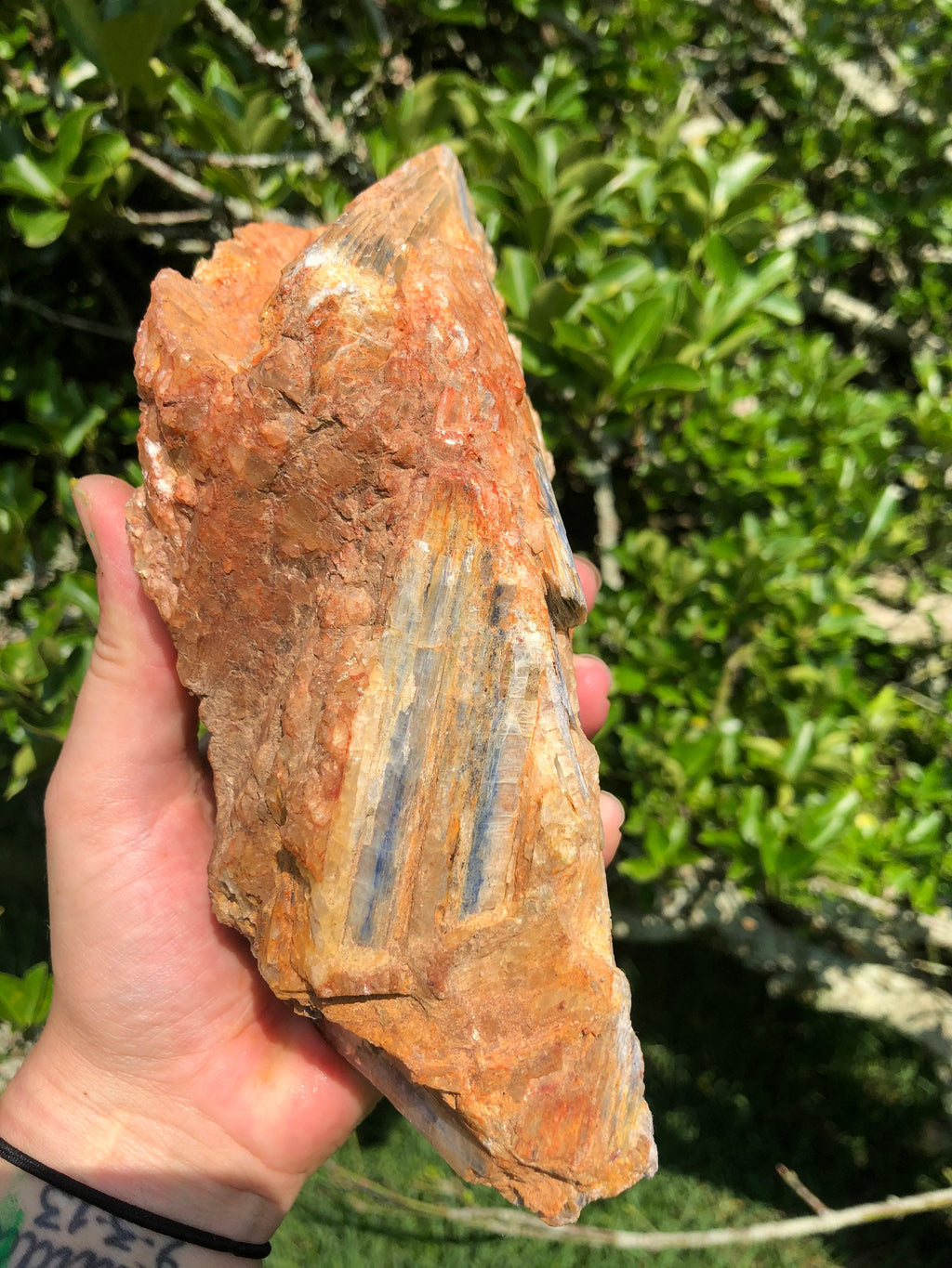 Huge Blue Kyanite crystals in Matrix