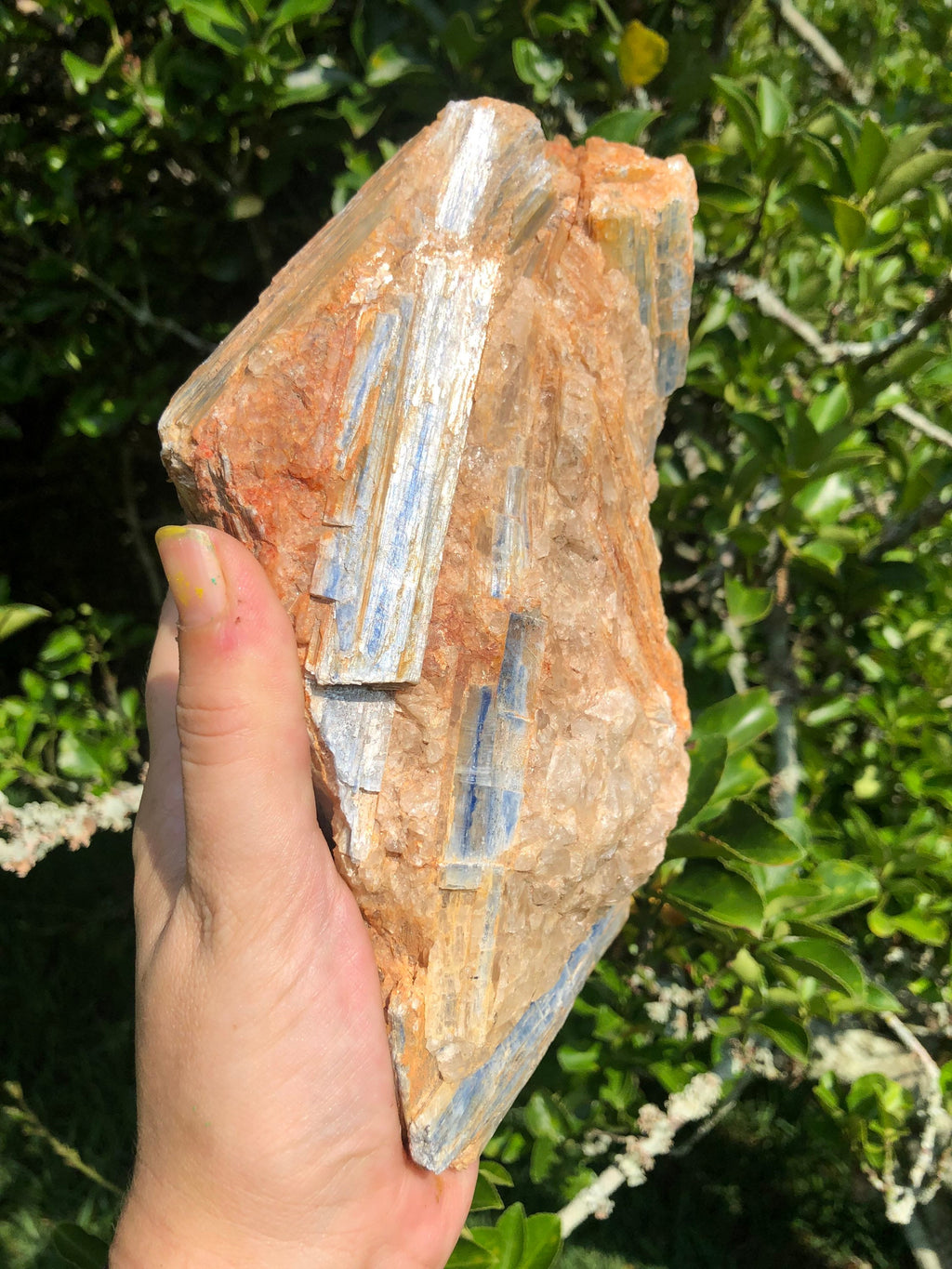 Huge Blue Kyanite crystals in Matrix