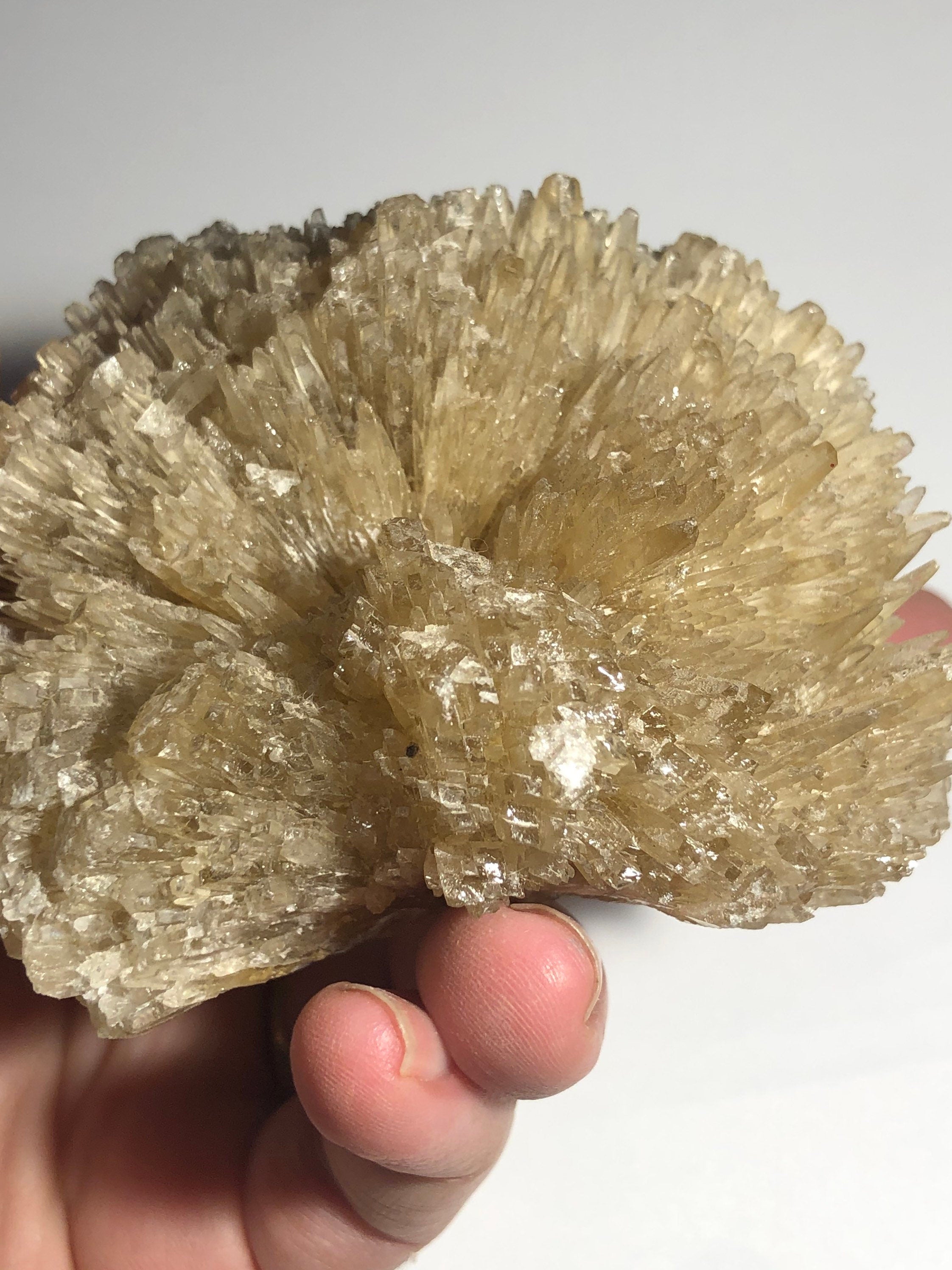 Large Gemmy Calcite Cluster Florida,