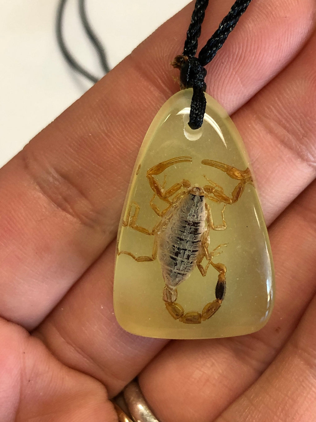 Glow in the Dark Scorpion Necklace