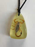 Glow in the Dark Scorpion Necklace