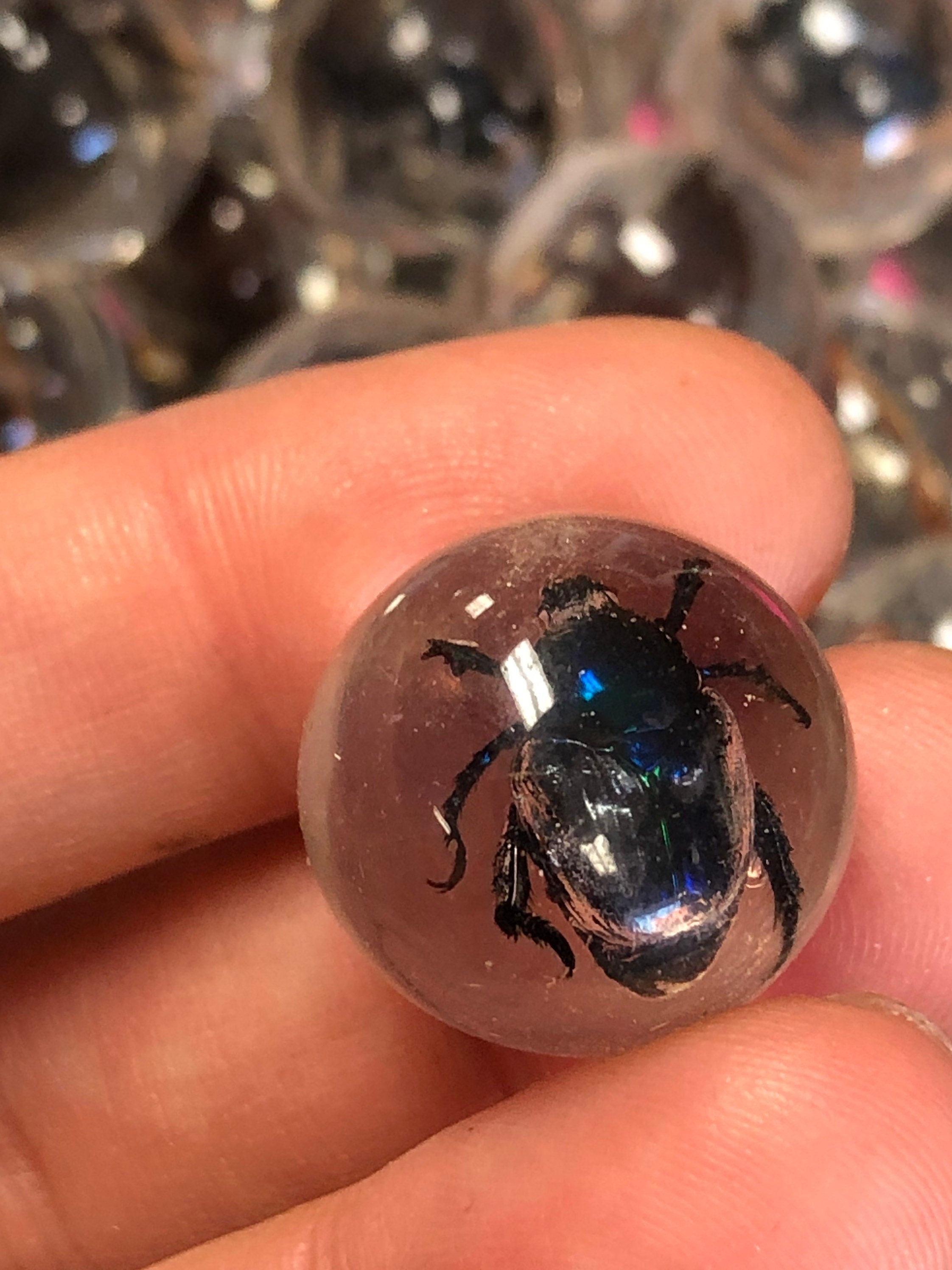 Resin Marble Real Bug/Scorpion