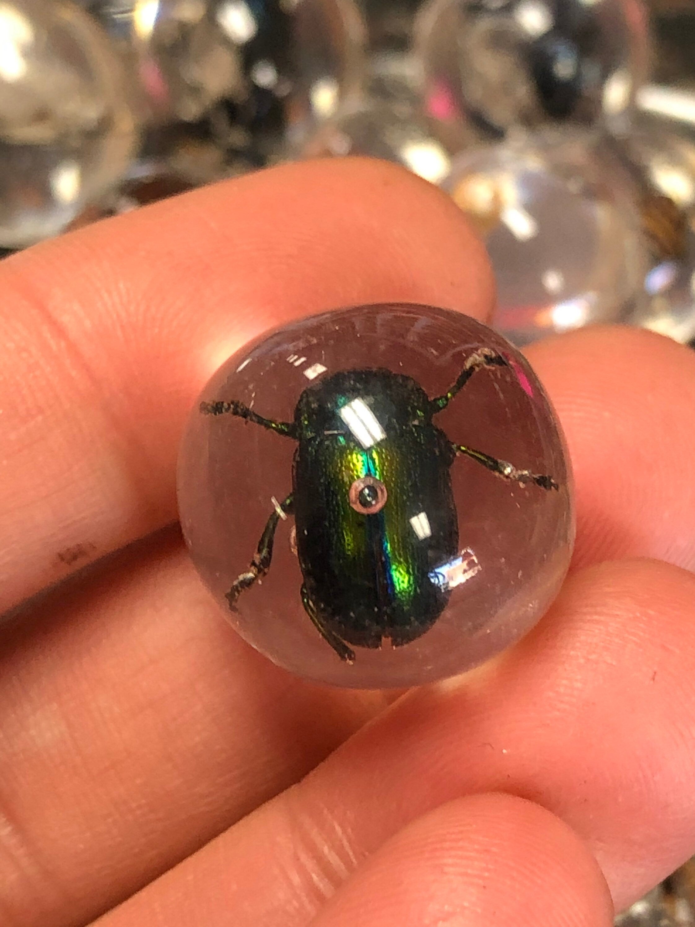 Resin Marble Real Bug/Scorpion