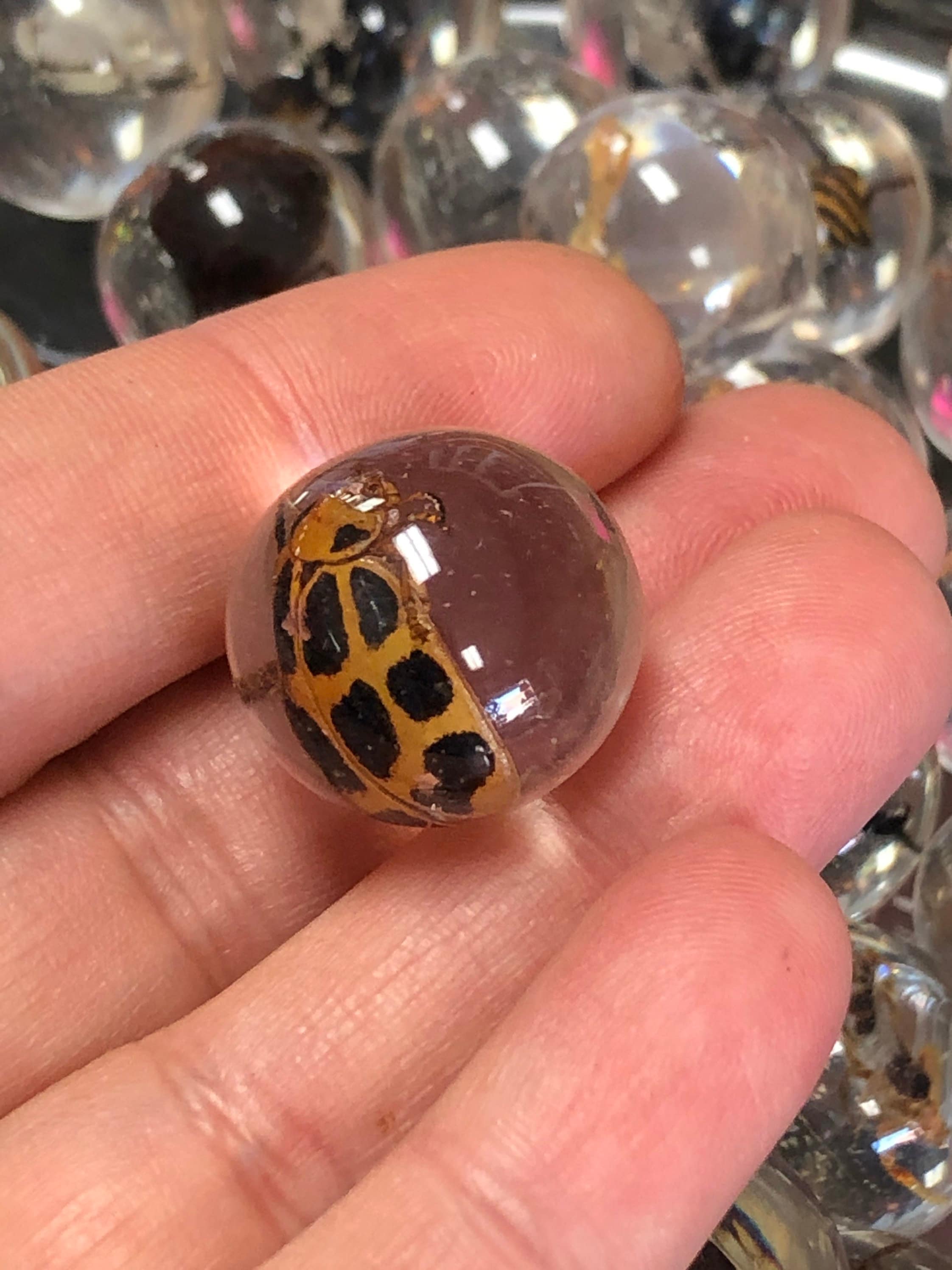 Resin Marble Real Bug/Scorpion