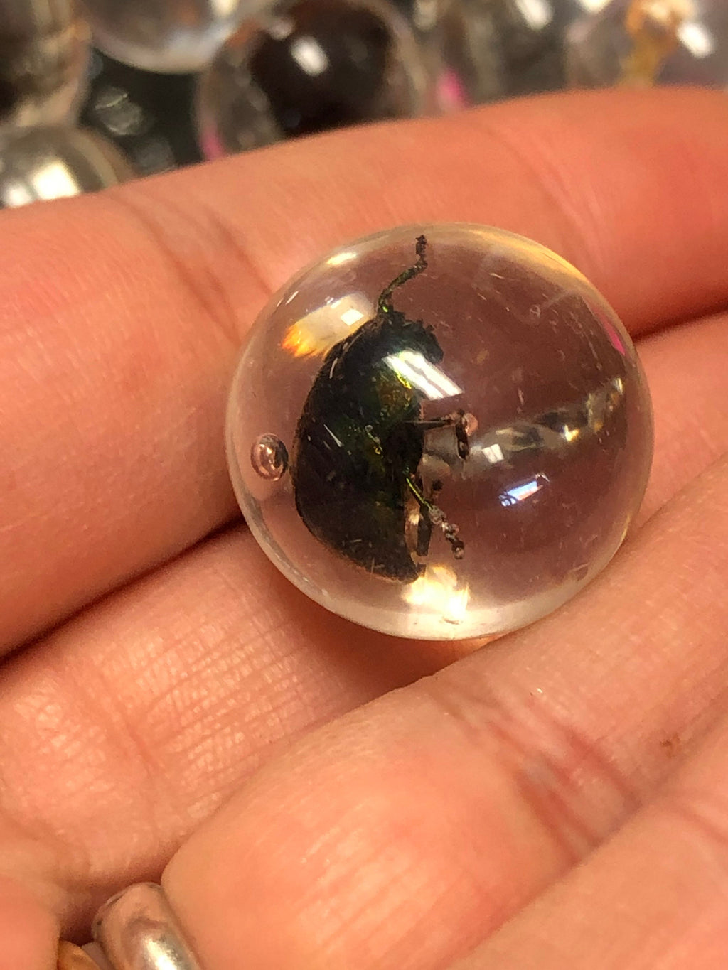 Resin Marble Real Bug/Scorpion