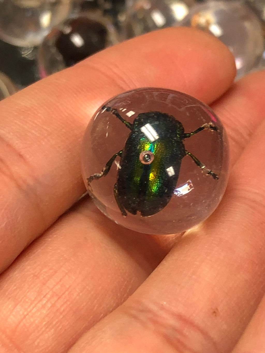 Resin Marble Real Bug/Scorpion