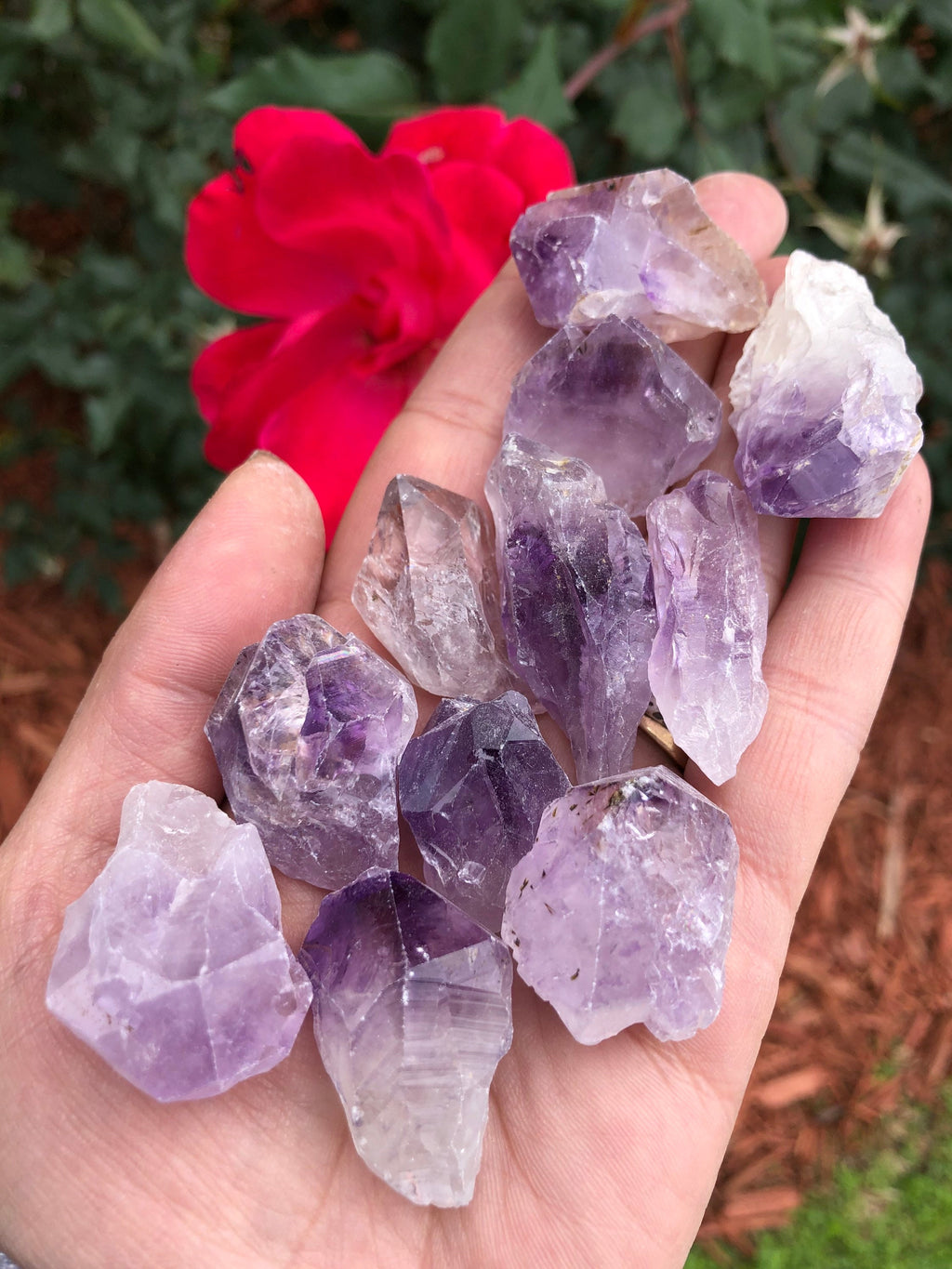 1lb Amethyst Crystals