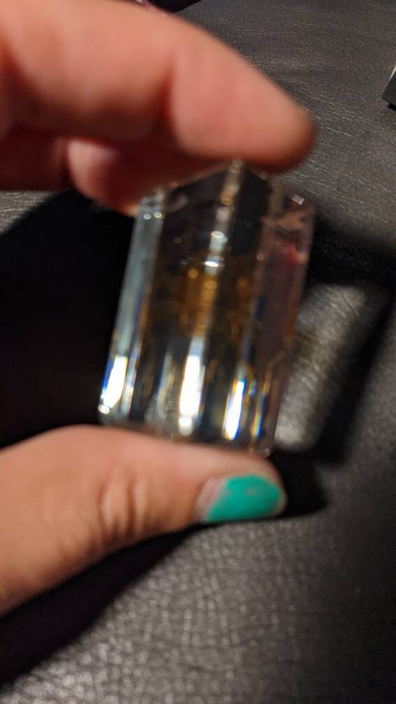 Water Spider, Preserved in Resin, Collectible Modern Fossil