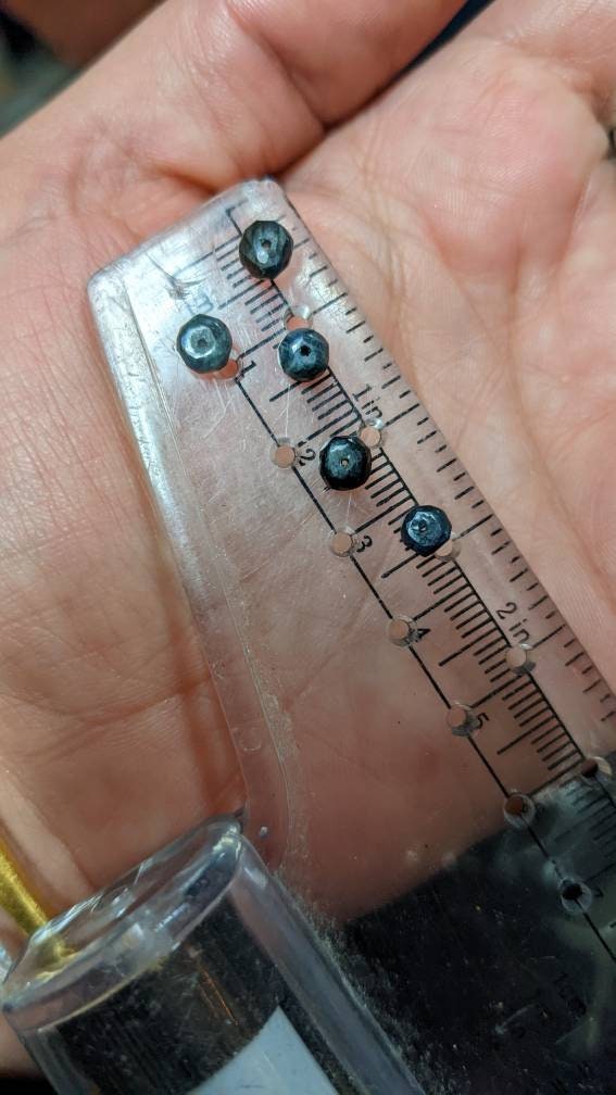 Polished Sapphire Corundum Gemstone Beads