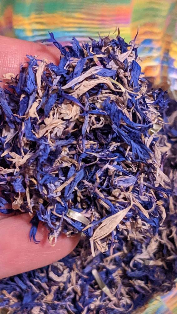 Certified Organic Cornflowers