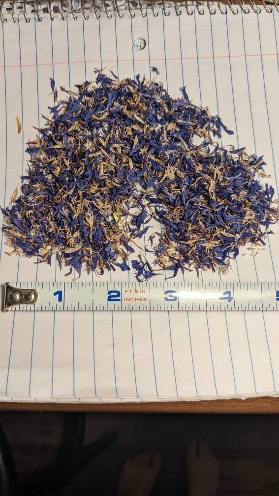 Certified Organic Cornflowers