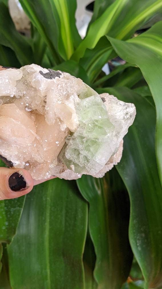 Sparkly Large Green Apophyllite Crystal Cluster