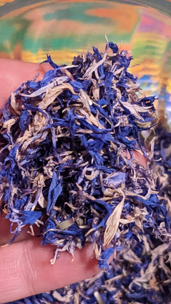 Certified Organic Cornflowers