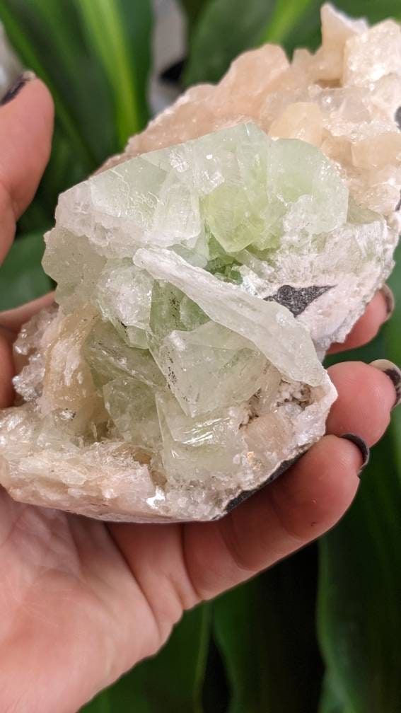 Sparkly Large Green Apophyllite Crystal Cluster