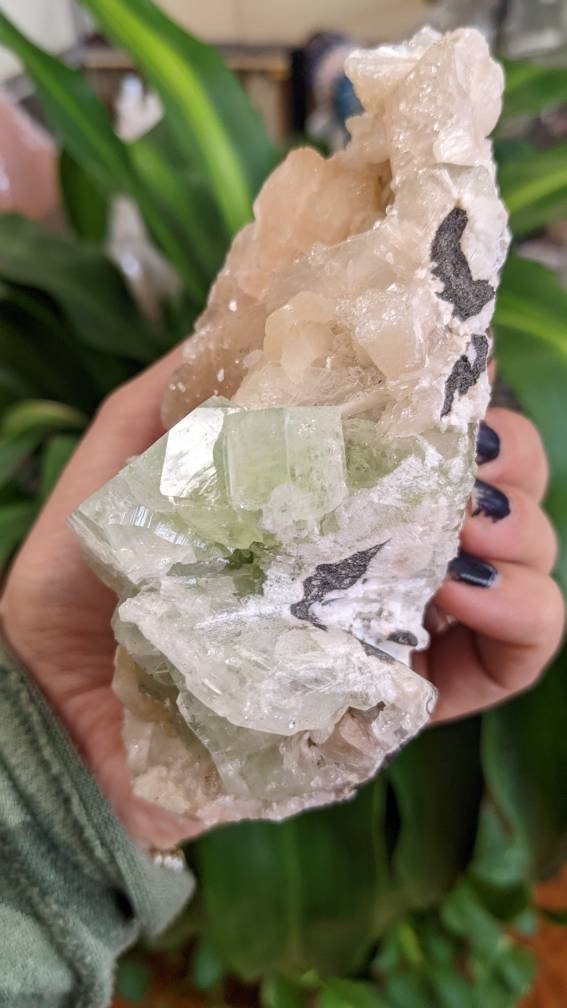 Sparkly Large Green Apophyllite Crystal Cluster