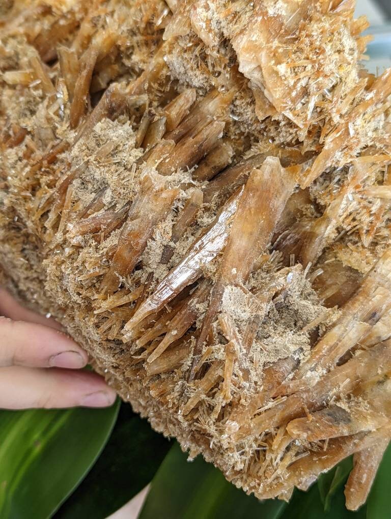 Huge Rare Orange Selenite Cluster from Australia