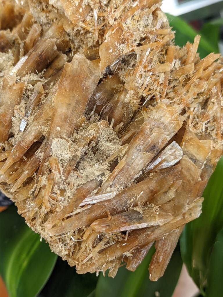 Huge Rare Orange Selenite Cluster from Australia