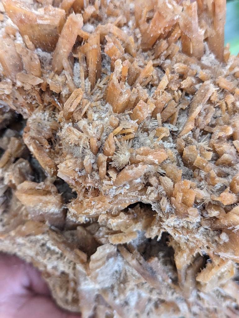 Huge Rare Orange Selenite Cluster from Australia