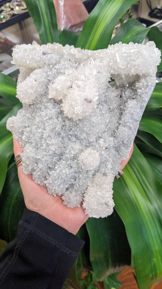 Huge 6lb Sparkly Apophyllite and Calcite Crystal Cluster