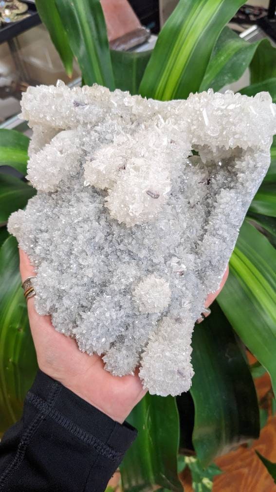 Huge 6lb Sparkly Apophyllite and Calcite Crystal Cluster
