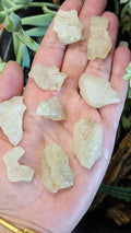 Libyan Desert Glass Tektite (1)
