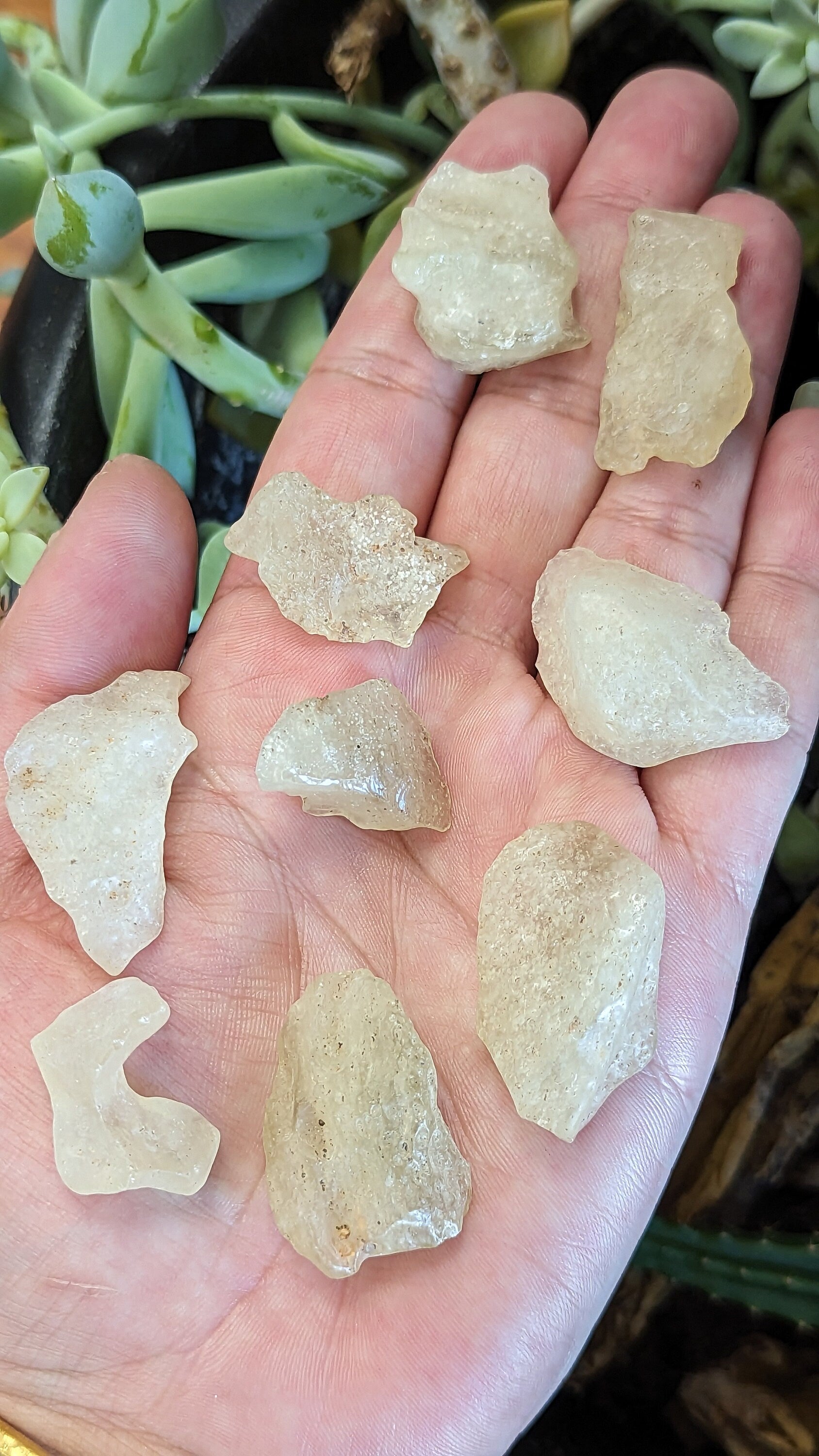 Libyan Desert Glass Tektite (1)
